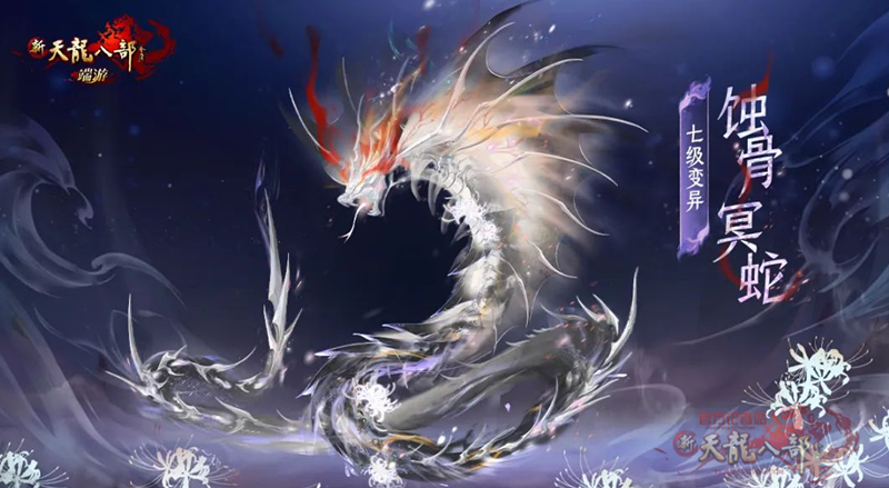 微信图片_20260111225817_2048_248_副本.png