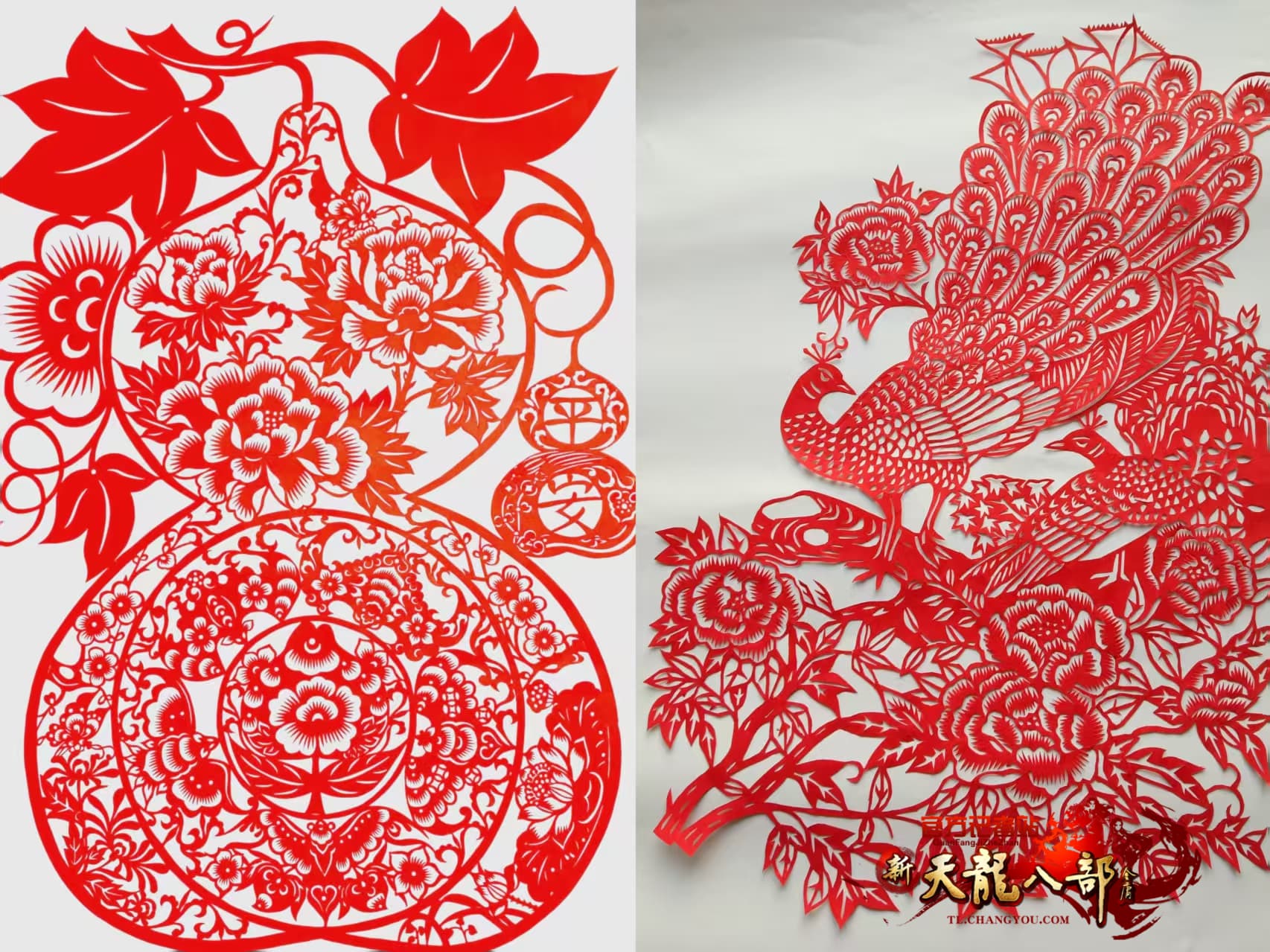 微信图片_20260812152013_125_2.jpg